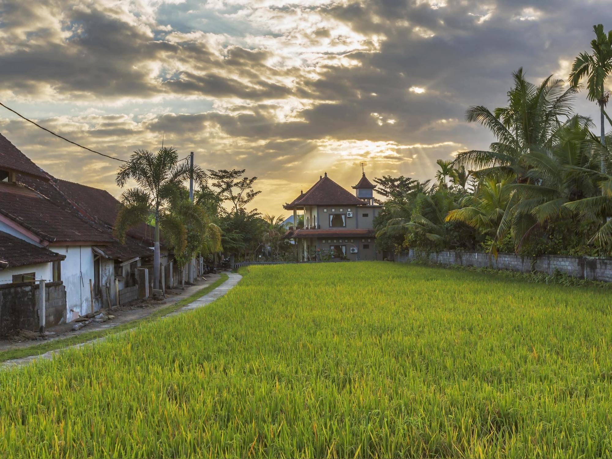 Abipraya Ubud Kültér fotó